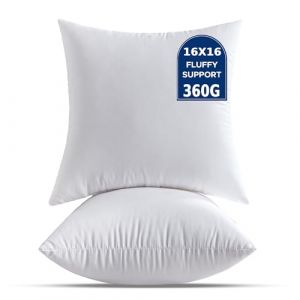 QSWRD Coussin Rembourrage 40 x 40 cm Lot de 2 Petits Coussins D&eacute;coratifs Blancs pour Le Salon Canap&eacute; Lit Canap&eacute; Carr&eacute;s Housse de Coussin Garnissage Coussin (SWR US, neuf)
