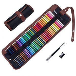 Crayon de Couleurs Kit Dessin Professionnel, 48pcs Peinture et Croquis Crayons de Coloriage Vibrants avec Trousse, Rangement Facile pour Enfants et Adultes, Livre de coloriage et Mandala (Aurosa, neuf)
