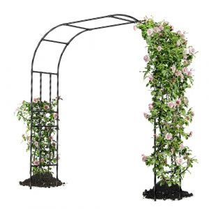 Caroeas Arche de Jardin pour Plantes Grimpantes,180x240x40cm，Arceau M&eacute;tallique pour Rosiers, Tonnelle D&eacute;corative Ext&eacute;rieure, R&eacute;sistante &agrave; la Rouille et &agrave; la D&eacute;coloration (Kailuo Europe, neuf)
