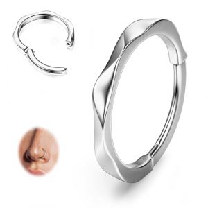 BodyBonita Argent Articulés Piercing Nez Anneaux - 316L Acier Chirurgical Créoles Torsadées Cartilage 16G Septum Piercing Anneaux Hélix Conque Tragus Rook Daith pour Femmes Hommes Svelte 10 mm (BodyBonita Jewelry, neuf)
