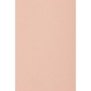 Netuno 10x carton rose clair 250g papier décoratif A5 148,5x210mm Burano Rosa idéal pour cartes de voeux scrapbooking bricolage invitations art et artisanat anniversaire DIY loisirs créatifs (netuno, neuf)