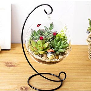 Vase de Jardinière Rond en Verre à Suspendre Boule de Terrarium pour Plante Aérienne à Suspendre Transparent Grand Vase à Fleur de Terrarium Pot de Fleurs Pot de Fleurs Vase à Bulbe pour Plantes Aérie (welcome chaozhang, neuf)