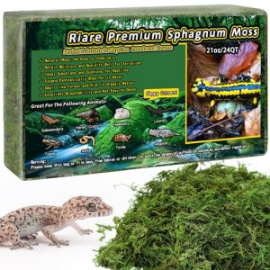 Riare Mousse de sphaigne Naturelle de qualité supérieure pour Reptiles - Mousse Verte Vivante pour Terrarium, éclosion, substrat de sphaigne forestière pour Serpents, Gecko (600g) (YLGA, neuf)