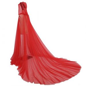 Proumhang Cape à Capuche en Tulle Pleine Longueur pour Femmes et Filles,Cape de Couleur unie rétro Halloween,Robe de Mariée Vampire,Cape Gothique Méchante Sorcière,Costume Fantôme Hanté,Rouge (labellevie_NO1, neuf)