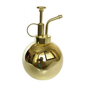 LianShi Flacon pulv&eacute;risateur en Acier Inoxydable pour Plantes-Petit arrosoir-Outils de Jardinage Modernes pour Plantes en Pot d'int&eacute;rieur-Arrosage et pulv&eacute;risation (Couleur Or, 0.5L) (LianShi FR Store, neuf)