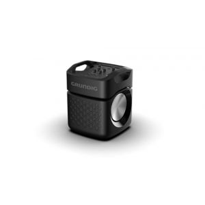 GRUNDIG Party Hit Max Enceinte Bluetooth 160 W, Bluetooth 5.3, jusqu'à 10 m de portée, Effets de lumière RVB, jusqu'à 12 Heures d'autonomie, Fonction Banque d'alimentation, étanche IPX4, Noir (deltatecc, neuf)