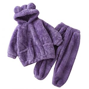 Ensemble de pyjama pour tout-petits enfants gar&ccedil;on et fille - Sweatshirt &agrave; capuche avec oreilles d'ours et pantalon en polaire chaud 2 pi&egrave;ces - Tenue d'automne-hiver, violet, 2-3 ans (⭐⭐⭐⭐⭐Five Amm⭐⭐⭐⭐⭐, neuf)