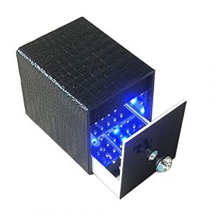 Boîte de rangement pour outils de manucure - Lumière bleue - Portable - Plug-in pour artistes à domicile - 4 couleurs - Organiseur de rangement pour pince à épiler, salon de coiffure, spa, cutter (WISHing, neuf)