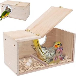 Boutihao Nichoir Transparent pour Perruches, Nichoir en Bois pour &Eacute;levage d'oiseaux de Perroquet, Bo&icirc;te d'&Eacute;levage Transparente pour Oiseaux Nid pour Perruche pour Perroquets, Perruches(15*15*29.5cm) (Boutihao, neuf)