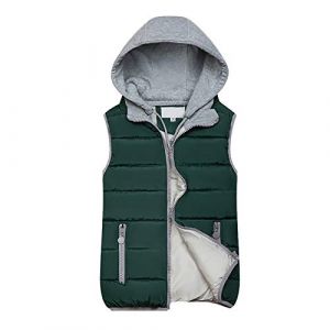 WZYYDS Doudoune Sans Manches Femme Capuche Zipp&eacute; Veste Duveteuse Gilet Sans Manche Femme Courtes Veste Matelass&eacute;e L&eacute;g&egrave;re Manteau Femme Hiver Chic Chaude Blouson (WZYYDS, neuf)