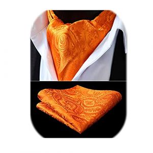 HISDERN Ascot or orange Homme Paisley Cravates Jacquard Mariage Foulard Floral &Eacute;l&eacute;gant Ensemble Cravate Classique et Pochette pour Business (hisdern, neuf)