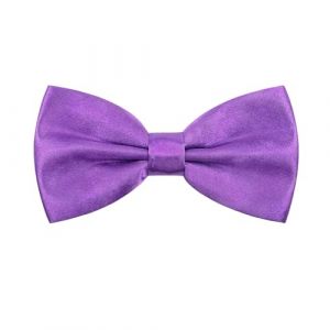 MAIANY NœUds Papillon Homme, Avec Gancio RéGlable, NœUd Papillon Classique Pré- Noué Pour Costume, IdéAl Pour Les Mariages Pour Hommes, NœUd Papillon Pour Dames (Violet) (MAIANY, neuf)