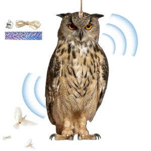Faux Hibou Leurre Pour Effrayer Les Oiseaux, Effaroucheur Pigeons, Carton Hibou Anti Pigeons, Effaroucheur Oiseaux, Hiboux Leurres Pour Effrayer Les Oiseaux, Faux Hibou Pour Fermes, Vergers, Jardins (Moonlapt, neuf)