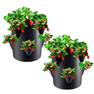 2 Pi&egrave;ces Fraisier Hauteur | Pot Fraisier de 7 Gallons | Fraisiers A Planter Perm&eacute;ables et Respirantes &Agrave; 6 Trous | Sac de Plantation pour Fraises | Bacs Culture en Tissu Non Tiss&eacute; pour Fruits L&eacute;gumes (huofeiquned22, neuf)