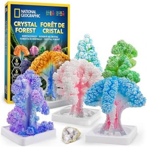 Blue Marble National Geographic Kit de Loisirs Créatifs pour Enfants – Kit de Culture de Cristaux, Faites Pousser 6 Arbres en Cristal en 6 Heures, Fournitures Artistiques, Géode, Kit STEM (National Geographic Science Toys, neuf)