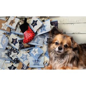 QCHEFS Calendrier de l'Avent des Chiens 2023 Délicieux croqué et Brossé les Dents Sans plastique en Papier Seulement et Votre Chat appuiera Son Sac seul! (Q-Pet, neuf)