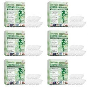 6 Bo&icirc;tes Berberine Patch, Patch Moringa 10 En 1, 2026 Nano Microneedle Patches For Slimming, 2026 Natural NAD Moringa And Berberine Patches, Pour Femmes Maison Au Quotidien (42 Pi&egrave;ces) (LJ-ring2024, neuf)