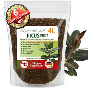Garten Lux Ficus Terre 4 l &ndash; Terreau sp&eacute;cial 6 en 1 sans tourbe &ndash; Contre les sciarides &ndash; Pour Ficus Benjamina, Elastica, Lyrata, Pumila, Carica, Microcarpa, Alii, Benghalensis et plus encore (Gartenlux, neuf)