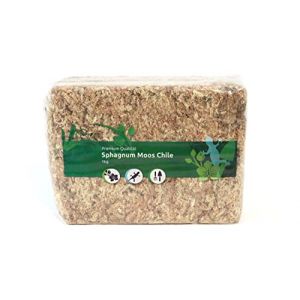 Mousse de sphaigne pour Terrarium et orchidées du Chili 1000 g pour orchidées et terrariums - Substrat idéal et bâtonnets de Mousse (Lifestyle & Nature, neuf)
