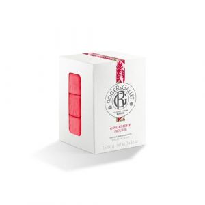 GALLET - Savon Corps Gingembre Rouge ROGER & | Parfum savoureux et onctueux | Pour une peau douce et revitalis&eacute;e | les 3 savons de 100g | LOT DE 2 (ViveVers, neuf)