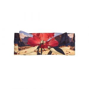 AKGFFDS Bandeau pour b&eacute;b&eacute; avec n&oelig;ud imprim&eacute; rose rouge dans le d&eacute;sert - Bandeau en polyester doux, doux pour la peau et extensible pour les nourrissons de 0 &agrave; 6 mois (liwenpanxiaodian, neuf)