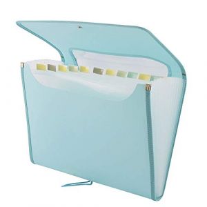 D.RECT 5590 - Trieur Extensible 12 Poches A4 | Extensible Classeur Documents | Accord&eacute;on Classeur Pochettes Porte-documents | turquoise (DVDMAX-FR, neuf)