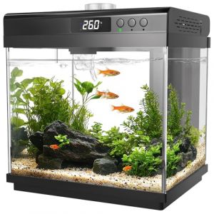 AQQA Kit de démarrage pour aquarium de 14 L, petit aquarium en verre avec filtre et lumière LED, 10 couleurs réglables, Nano aquarium aquarium, kit auto-nettoyant pour poissons tropicaux Betta, (Aqqa, neuf)