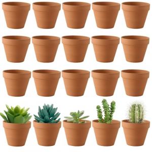FUYTSUO 20 Pi&egrave;ces Pots en Terre Cuite de &Oslash; 3,5 cm, Pots de Fleurs, Petits Pot en Argile, Mini Pots en Terre Cuite avec Trou de Drainage, Pots Argile R&eacute;utilisable pour Semis et Jeunes Plantes (QYKJQY, neuf)