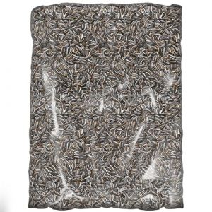 SQUAWK Graines de Tournesol ray&eacute;es - Graines Grandes Premium pour Oiseaux Sauvages - Id&eacute;ales pour Les mangeoires et la Nutrition des Oiseaux en ext&eacute;rieur. (Gardener's Dream Ltd, neuf)