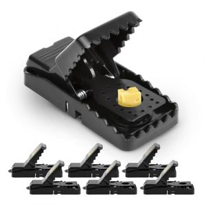 Tapette à mâchoires à rongeurs et Rats XL, Lot de 6: pièges Souris et Rats puissants réutilisables, sans Poison, intérieur extérieur, Efficace Maison Jardin, tapette Plastique Robuste Durable (Sira Trading, neuf)
