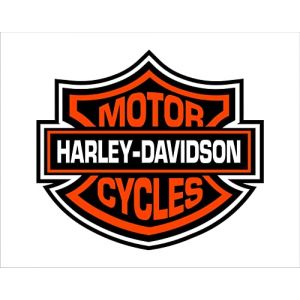 Autocollant en vinyle Harley Davidson 10 cm de large x 9 cm de haut (Insignia City, neuf)
