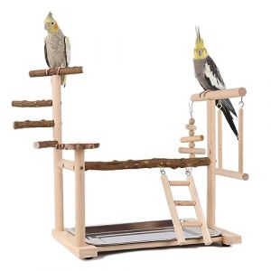 WishesMar Aire de Jeux pour Oiseaux Terrain de Jeu pour Perroquet avec Support Perchoirs Balançoire Échelle et Plateau pour Calopsitte Cockatiel, Bois, Taille 36x23x39 CM (Nicemeet999, neuf)
