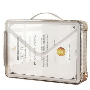 Elezeal Boîtes de rangement transparentes avec couvercle – Organiseur de rangement en papier transparent A4 avec poignée et étui de projet portable pour ranger certificats, scrapbooking, jouets et (Saiyidianshang, neuf)