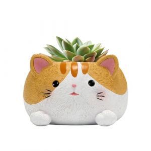 KOCNYDEY Petits pots mignons pour plantes grasses avec drainage, 10 cm, pots de cactus en résine pour plantes grasses, joli pot de fleurs pour fleurs, cactus, jardin, maison, bureau (GENEDY HOME EU, neuf)