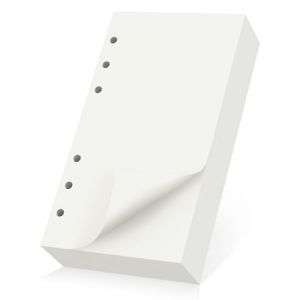 Yarotm Recharge Agenda A6 6 Trous - 180 Feuilles/360 pages Recharge de Papier Blanc A6 Classeur 9.5x17.2cm - 100GSM Feuillets Mobiles pour Rechargeable Journal Cahier Agenda (Droking, neuf)