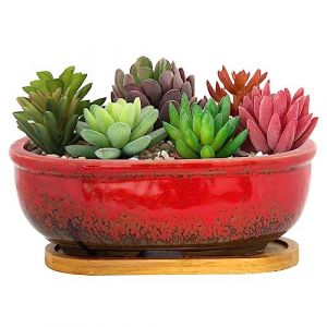 pots de fleurs rectangulaires de 20 cm de long avec plateau de drainage, pots peu profonds pour plantes d'int&eacute;rieur - Pots de cactus en c&eacute;ramique &eacute;maill&eacute;e pour d&eacute;coration de rebord de fen&ecirc;tre de (Ketty LOVE, neuf)