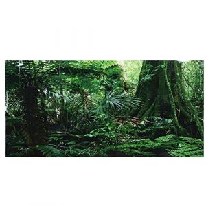 Cikonielf Poster 3D For&ecirc;t Tropicale Autocollant Reptiles Terrarium Fond d'aquarium Poster sous-marin PVC D&eacute;cor Papier peint pour aquarium Autocollant mural (122 x 46 cm) (Smandye, neuf)