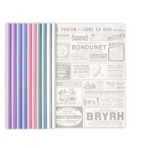 Lot de 10 A4 couverture de rapport, chemises de classement avec barre coulissante, couvertures de reliure en plastique, chemises de classement, couvertures de rapport A4 avec clip (ZHANG FUDONG DE SHOP, neuf)