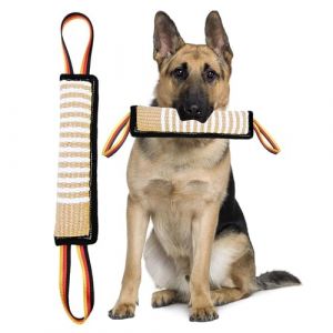 Lepidi Lot de 2 Saucisses &agrave; Mordre pour Chien avec 2 Poign&eacute;es, Boudin &Agrave; Mordre pour Chien, Robuste Boudin Mordant, Jute B&acirc;ton de Dressage, pour Chiens Moyens et Grands (Lyqslss, neuf)