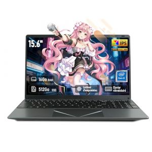 unbholkk Ordinateur Portable 15,6", Processeur Core i3-6100, 16Go RAM 512Go SSD, PC Portable &Eacute;tudiant FHD IPS avec Clavier r&eacute;tro&eacute;clair&eacute;, Empreinte Digitale, USB 3.0, Wi-FI 5, HDMI, BT5.0, Win11, Gris (REGNARS GVIDO AUZINS, neuf)