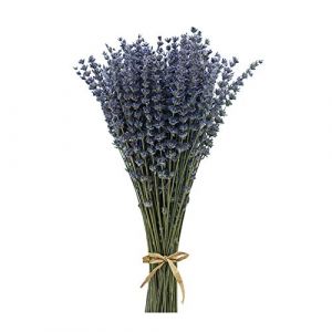 CoolCrafts Bouquet de Lavande Séchée Lavande Naturel pour la Décoration Intérieure, Mariage de Lavande (CoolCrafts Eur., neuf)