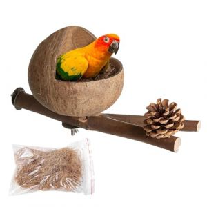 Nid d'oiseau en noix de coco - Cachette naturelle en coquille de noix de coco - Cachette pour oiseaux et perruches - Accessoire pour perruches - 25 x 12 cm (chaojianfushi, neuf)