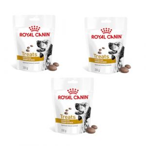 Royal Canin Veterinary Urinary S/O Treats | Pack de 3 | 3 x 230 g | Snacks pour Chiens Adultes de Toutes Races | dans Un Sac refermable | Teneur en min&eacute;raux optimis&eacute;e (FeedMyAnimal, neuf)