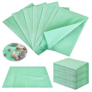 Bavoir dentaire, 125 pi&egrave;ces, 33 x 45 cm, serviettes patient, sets de table, tatouage, imperm&eacute;able, bavoir d'h&ocirc;pital, pratiques, &eacute;tudes de tatouage (vert) (ShopHop Business, neuf)