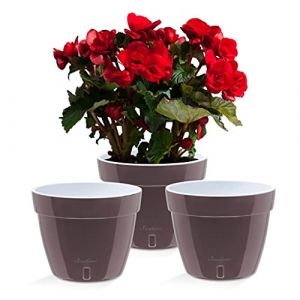 Santino ASTI Lot de 3 Pots de Fleurs à Arrosage Automatique-23CM-Auto-Arrosant-avec Indicateur de Niveau d'eau-pour Toutes Les Plantes D'intérieur (Ø 23,5 cm, H18 cm, 6L- Abat Jour/Blanc) (Gartenlux, neuf)