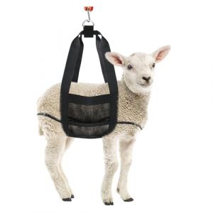 &Eacute;lingue de Veau pour Peser des Animaux, Balance de Veau de B&eacute;tail Nouveau-n&eacute;, &eacute;lingue de Balance de Poids Suspendue avec Sangle de R&eacute;glage, pour Peser Les Veaux, Les Agneaux (hightseck, neuf)