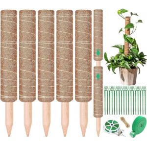 NCKIHRKK 5 Pièces 42cm Tuteur Monstera, Tuteur Coco Tuteur Plante Interieur Jusqu'à 160 cm, Tuteur Sphaigne avec Bande Velcro, Serre-câble, Ficelle, Tuteur Plante Grimpante pour La Maison Jardin (Camphor FR, neuf)