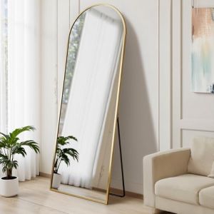 Vortisys 160 x 50cm Miroir sur Pied, Miroir Arqu&eacute; sur Pied &agrave; Poser au Sol, Cadre en Alliage d&rsquo;Aluminium, Verre Tremp&eacute;, Design Arche pour Chambre, Salon et Entr&eacute;e (Mobile Morning Trading, neuf)
