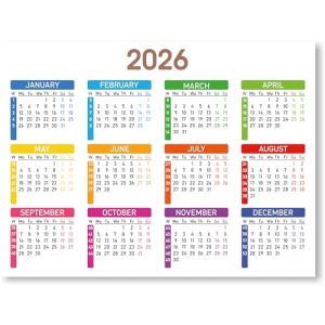 Calendrier 2026 R&eacute;frig&eacute;rateur avec Aimant | Taille 20 x 15 cm | Planificateur Annuel Color&eacute; avec Semaines Num&eacute;rot&eacute;es | Organisateur de T&acirc;ches, Vacances et &Eacute;v&eacute;nements | (2026, Anglais) (Nombretinas, neuf)
