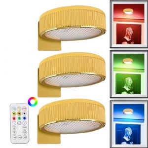 G&eacute;n&eacute;rique &Eacute;clairage de Tableau Sans Fil - Applique LED avec T&eacute;l&eacute;commande | Lampe Murale Magn&eacute;tique &agrave; Piles | Lot de 3, Spot Dimmable pour Cadres & &OElig;uvres d'Art, Installation Sans Per&ccedil;age (lutufane, neuf)